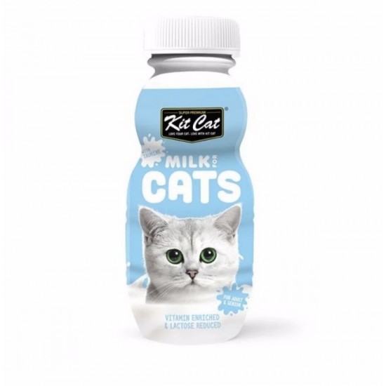Kit cat Milk