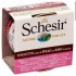 Schesir